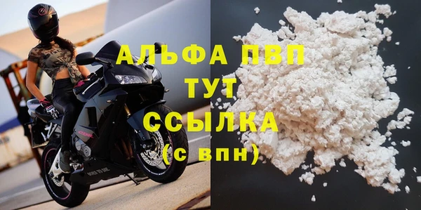 мяу мяу мука Баксан