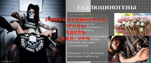 шишки Покровск