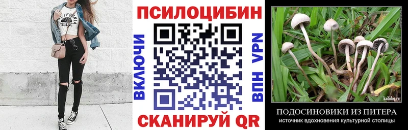 Галлюциногенные грибы Psilocybe mega Кстово