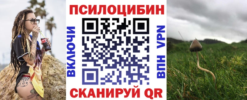 Галлюциногенные грибы прущие грибы Кстово